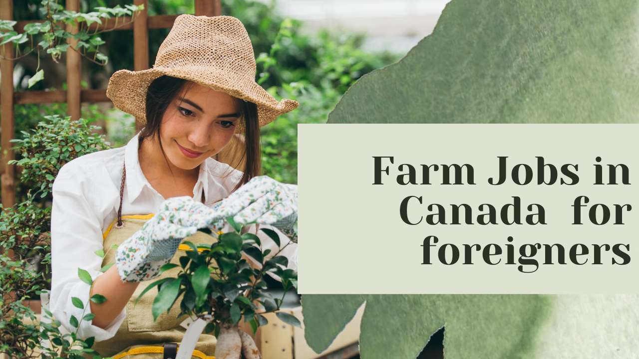 Farm Jobs in Canada for foreigners
